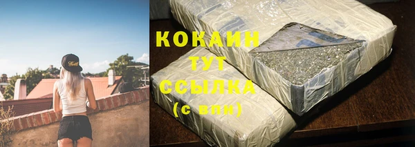 крисы Богородицк