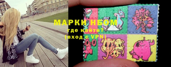 крисы Богородицк