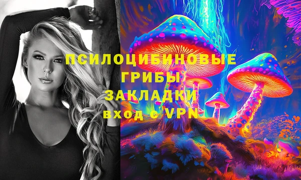 крисы Богородицк
