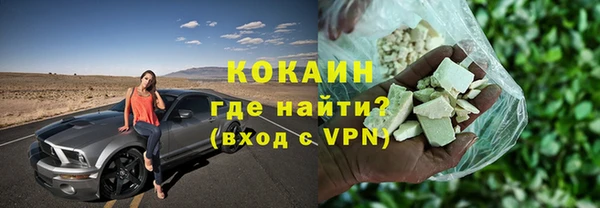 крисы Богородицк