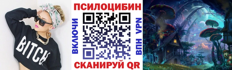 Псилоцибиновые грибы GOLDEN TEACHER  мориарти телеграм  MEGA зеркало  Ставрополь  наркота 